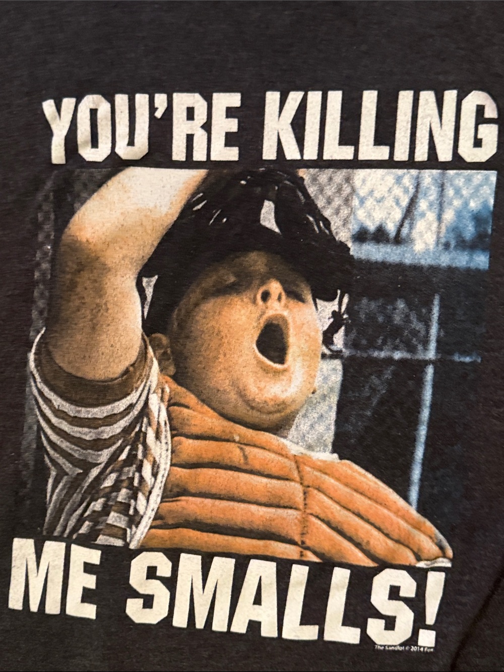 🍎Sandlot Vintage Tee Shirt (2014) - Picture 2 of 5